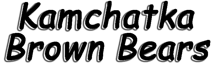 Kamchatka Brown Bear Logo