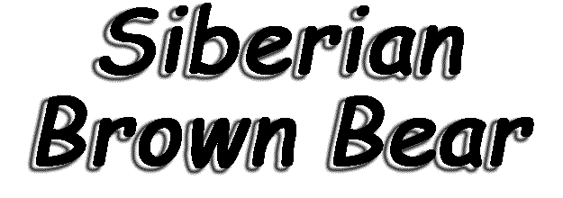 Siberian Brown Bear Logo
