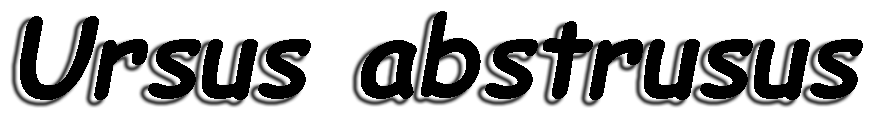 Ursus Abstrusus Logo
